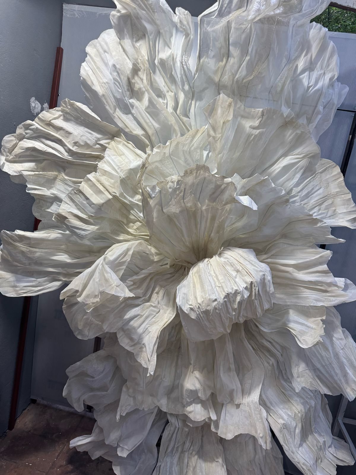 Flor Bali